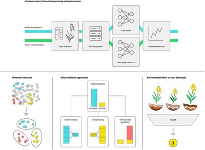 Plant Genotype to Phenotype Prediction Using Machine Learning